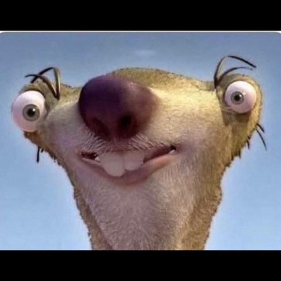 Meet your Posher, Logan - Picture 1 of 1